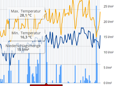 Zuchtrahmen für Königinnen mit Pflegevolk