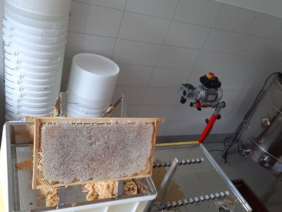 Die letzte Wabe der Tracht in/um Bietigheim