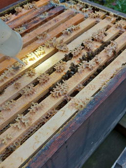 Ungünstiger Wintersitz (seitlich)