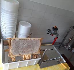 Die letzte Wabe der Tracht in/um Bietigheim