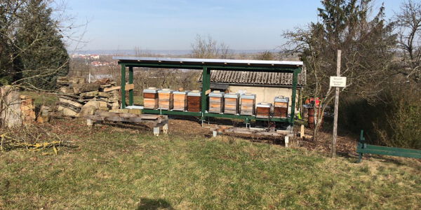 Der leere Futterkarton