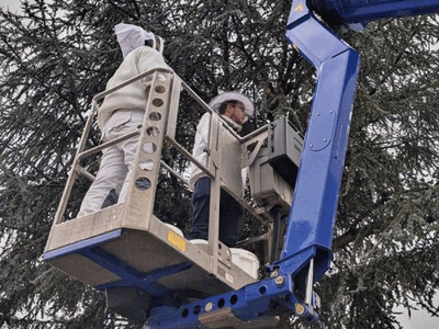 11/2025 Christian Hamberger & Benni Hergesell: Der letzte Schwarmfang für 2025