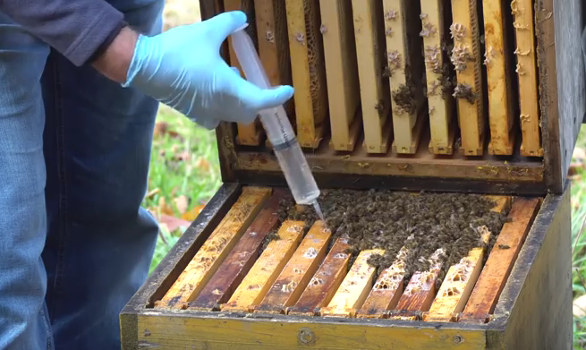 Youtube-Video von Simon Hummel