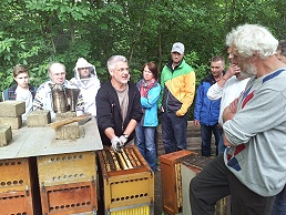 Neuimkerkurs 2014 bei Arbeiten am Bienenstand in Löchgau (Kopie) (Kopie)